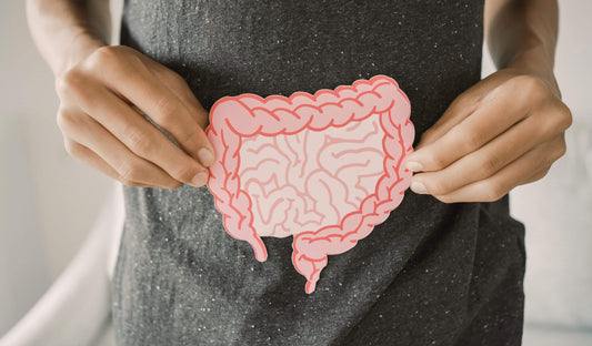 The Second Brain: How New Science Links Gut Health directly to Mood and Anxiety
